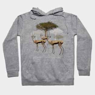 Thomson Gazelle - Antelope in Kenya / Africa Hoodie